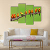 Nine of Sun Conure Parrot bird perching on a branch on green background Multi panel canvas wall art