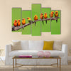 Nine of Sun Conure Parrot bird perching on a branch on green background Multi panel canvas wall art