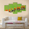 Nine of Sun Conure Parrot bird perching on a branch on green background Multi panel canvas wall art