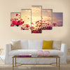 Landscape nature of beautiful pink and red cosmos flower field with sunshine vintage Multi panel canvas wall art