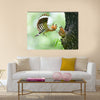 Hoopoe feeding wild birds children Multi panel canvas wall art