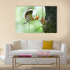 Hoopoe feeding wild birds children Multi panel canvas wall art