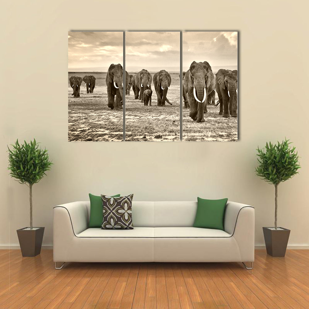 herd of elephants walking in Africa multi panel canvas wall art