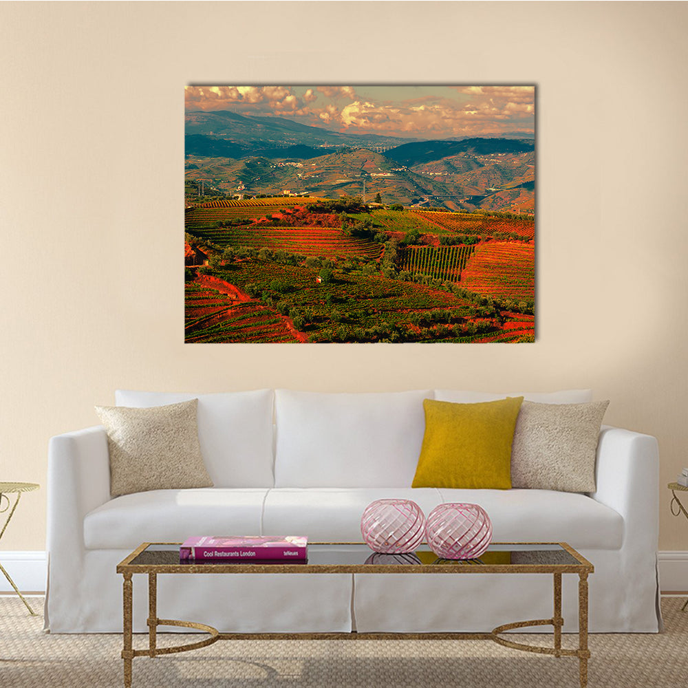 Extensive Vineyards on the Hills of Portugal at Sunset Multi panel Canvas Wall Art