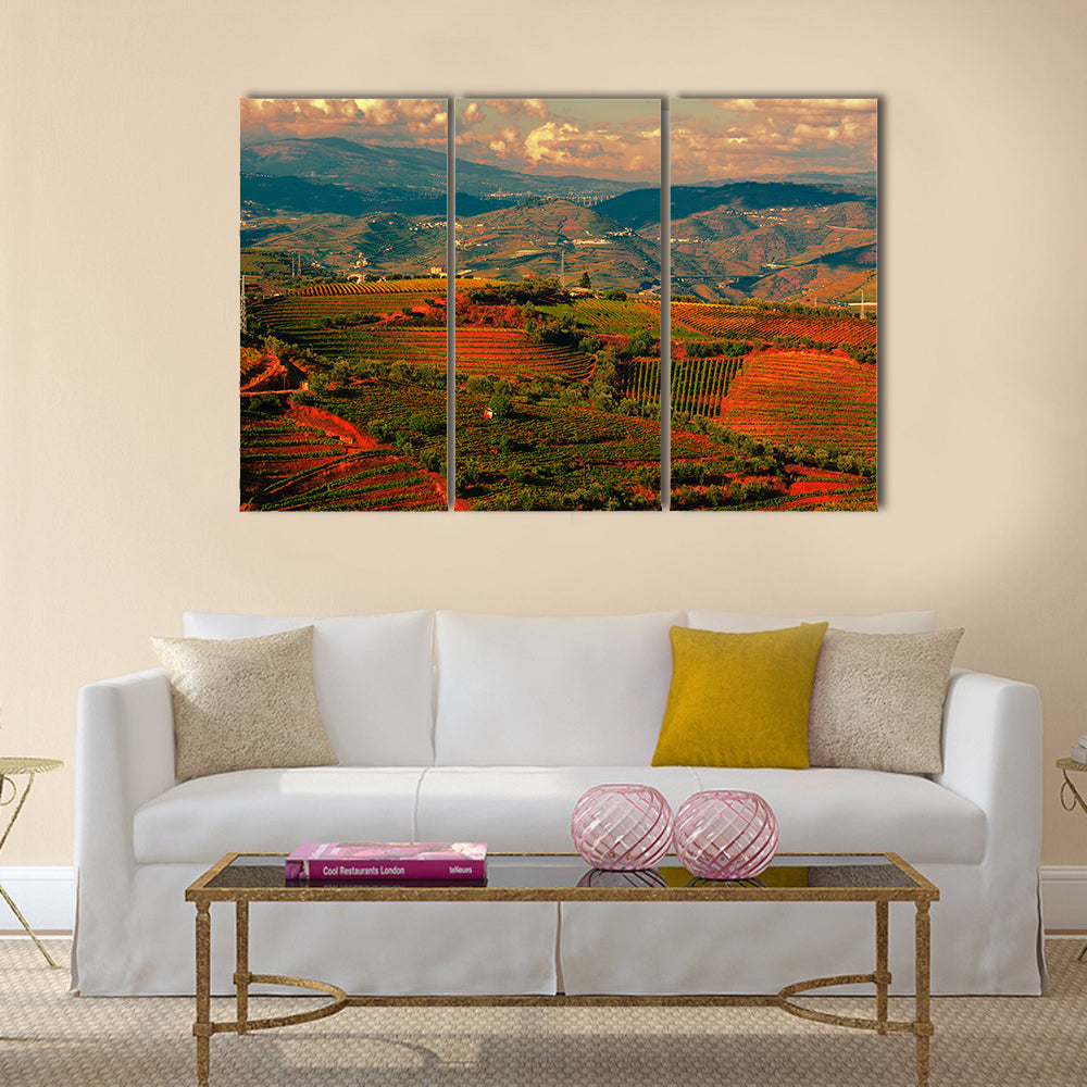 Extensive Vineyards on the Hills of Portugal at Sunset Multi panel Canvas Wall Art
