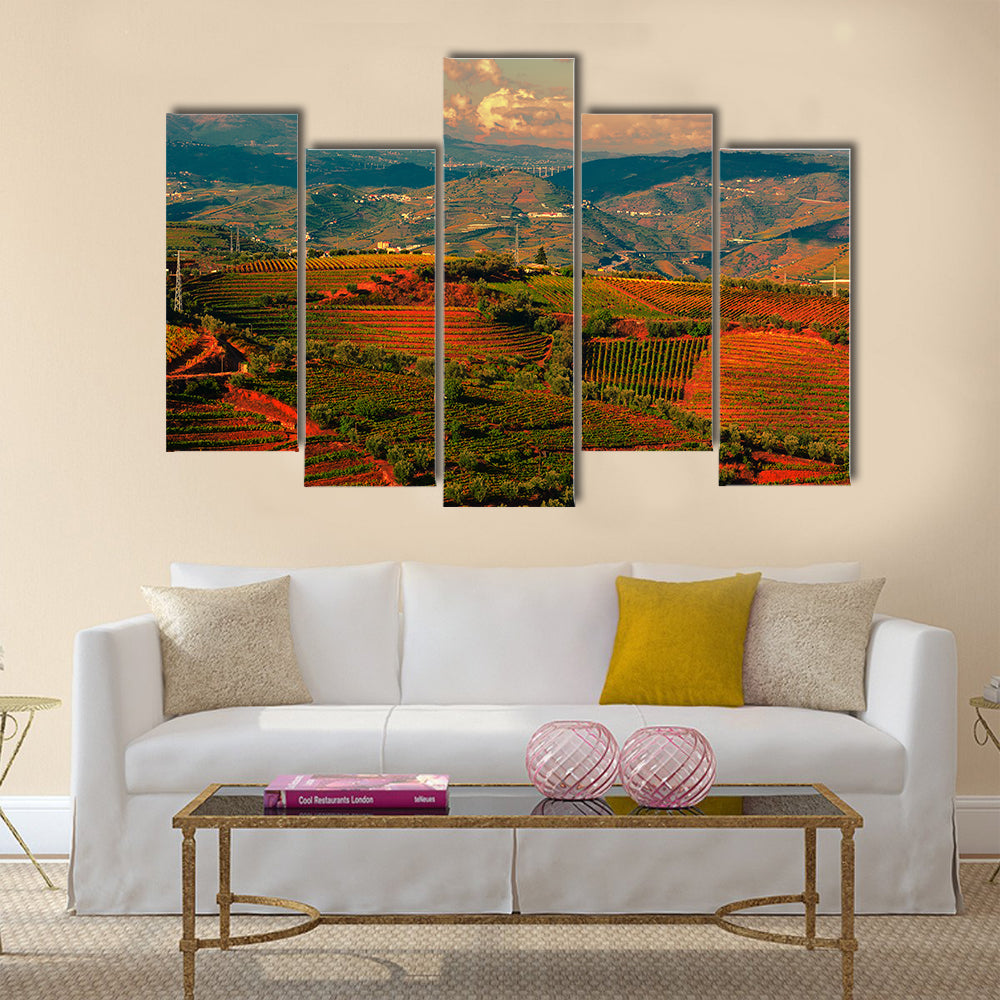 Extensive Vineyards on the Hills of Portugal at Sunset Multi panel Canvas Wall Art