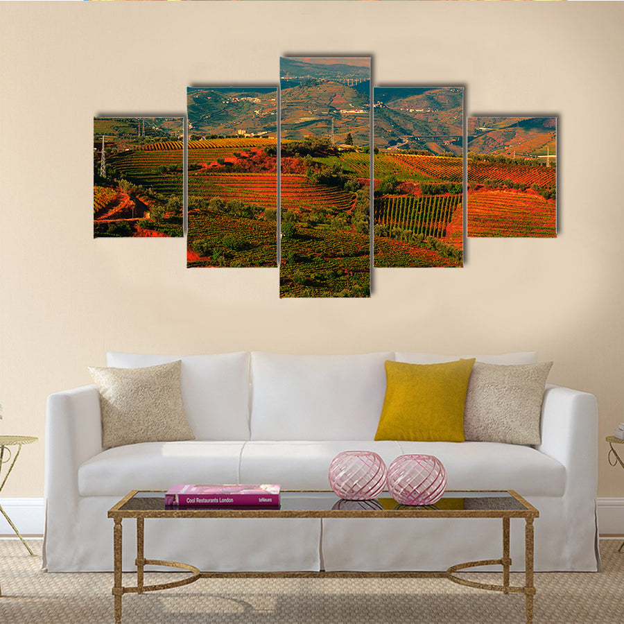 Extensive Vineyards on the Hills of Portugal at Sunset Multi panel Canvas Wall Art