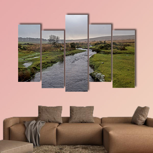 Showing a high stream river on dartmoor, england UK canvas wall art