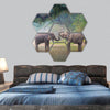 Asian Elephants in a natural river at deep forest, Thailand hexagonal canvas wall art