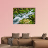 The Gorgeous scene of creek near Bohinj Lake Slovenia in the Europe, multi panel canvas wall art