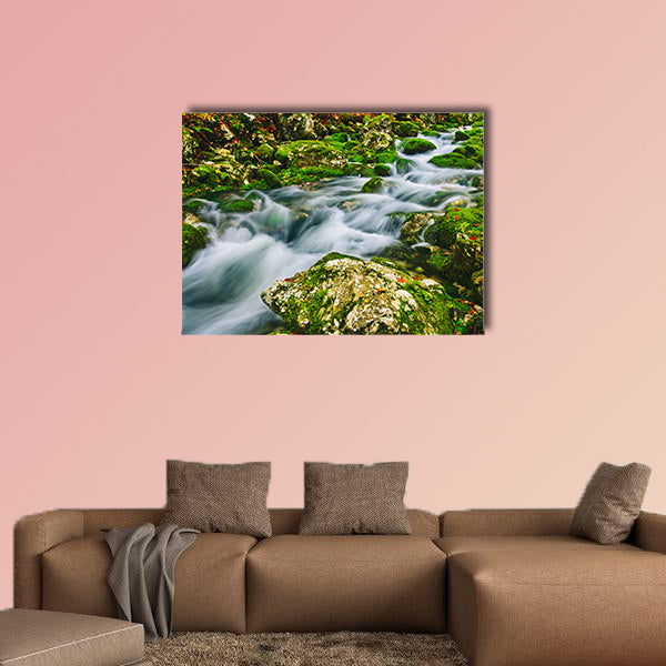 The Gorgeous scene of creek near Bohinj Lake Slovenia in the Europe, multi panel canvas wall art