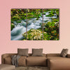 The Gorgeous scene of creek near Bohinj Lake Slovenia in the Europe, multi panel canvas wall art