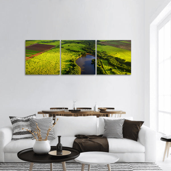 Aerial View Panoramic Canvas Wall Art