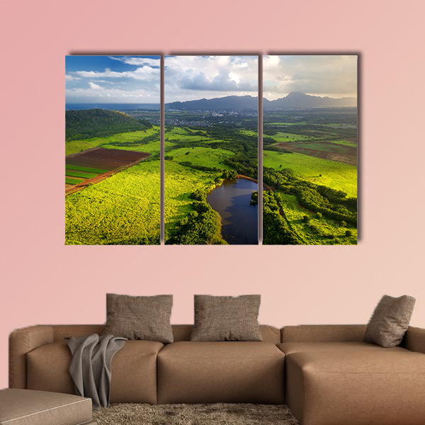 Stunning aerial view of spectacular jungles, Kauai, Hawaii Multi panel canvas wall art