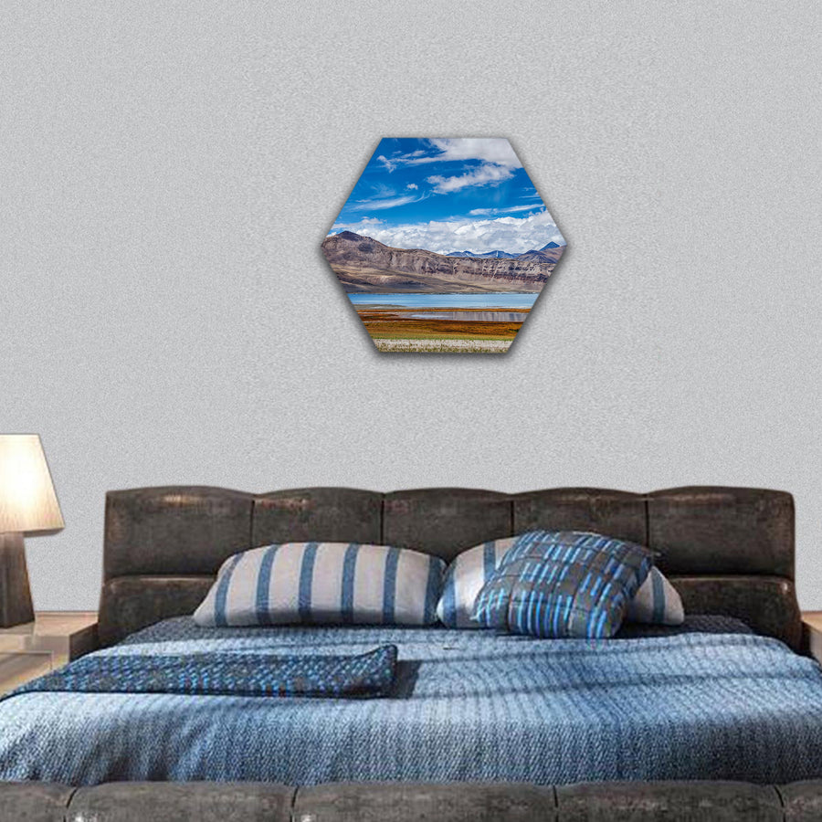 Salt lake in Himalayas, , India hexagonal canvas wall art