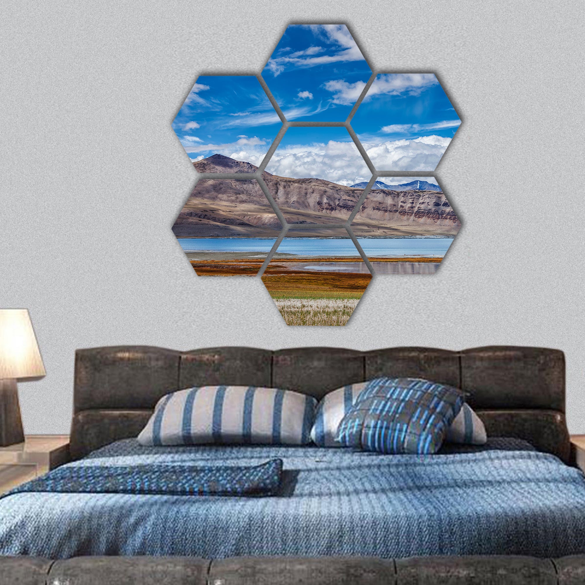 Salt lake in Himalayas, , India hexagonal canvas wall art