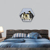 Emperor Penguins with chick fight for adopting hexagonal canvas wall art