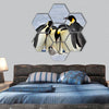 Emperor Penguins with chick fight for adopting hexagonal canvas wall art