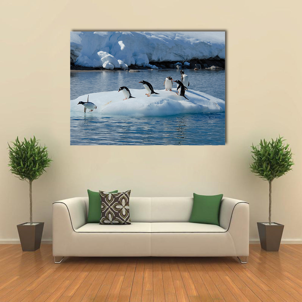 Gentoo Penguin Playtime At Your Local Iceberg, Antarctica Multi Panel Canvas Wall Art