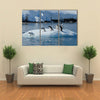 Gentoo Penguin playtime at your local iceberg, Antarctica Multi panel canvas wall art