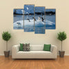 Gentoo Penguin playtime at your local iceberg, Antarctica Multi panel canvas wall art