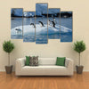 Gentoo Penguin Playtime At Your Local Iceberg, Antarctica Multi Panel Canvas Wall Art