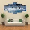 Gentoo Penguin playtime at your local iceberg, Antarctica Multi panel canvas wall art