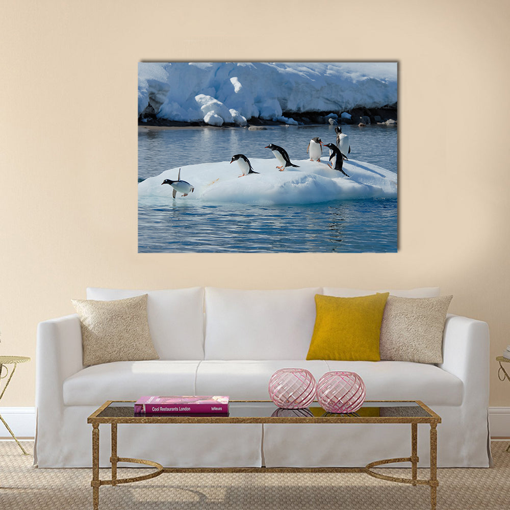 Gentoo Penguin playtime at your local iceberg, Antarctica multi Panel Canvas wall Art