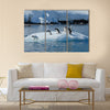 Gentoo Penguin playtime at your local iceberg, Antarctica multi Panel Canvas wall Art