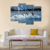 Gentoo Penguin playtime at your local iceberg, Antarctica multi Panel Canvas wall Art