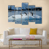 Gentoo Penguin playtime at your local iceberg, Antarctica multi Panel Canvas wall Art