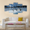 Gentoo Penguin playtime at your local iceberg, Antarctica multi Panel Canvas wall Art