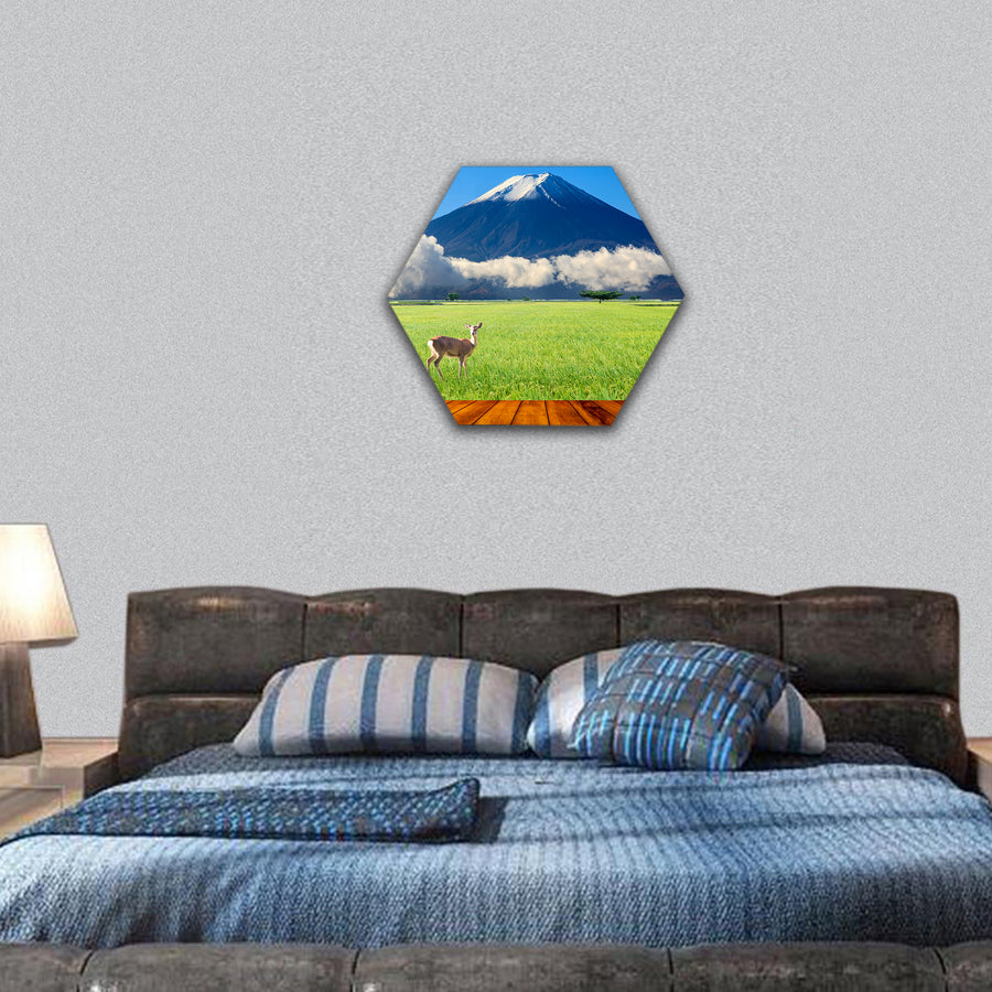 beautiful landscape with nice nature color hexagonal canvas wall art