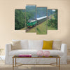 Passenger train passing through polish countryside Multi panel canvas wall art