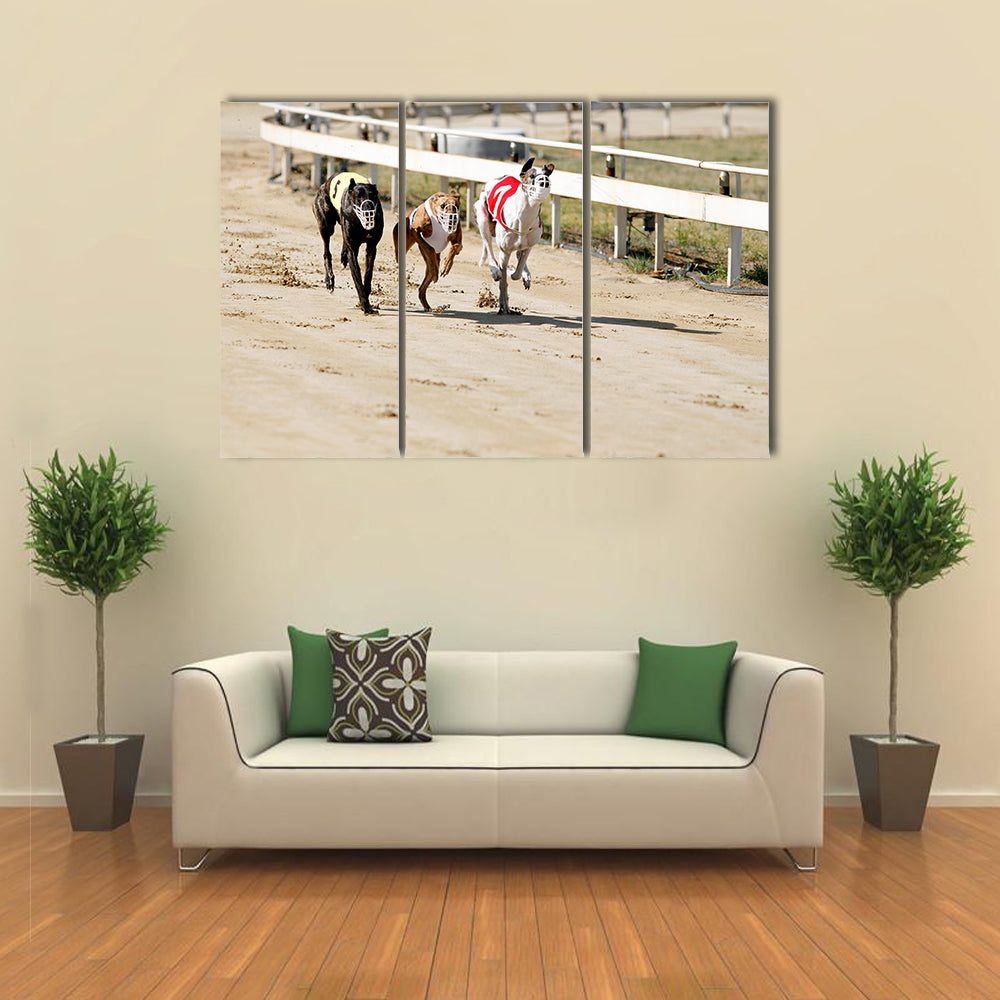 Sprinting Dynamic Greyhounds On The Race Course Multi Panel Canvas Wall Art