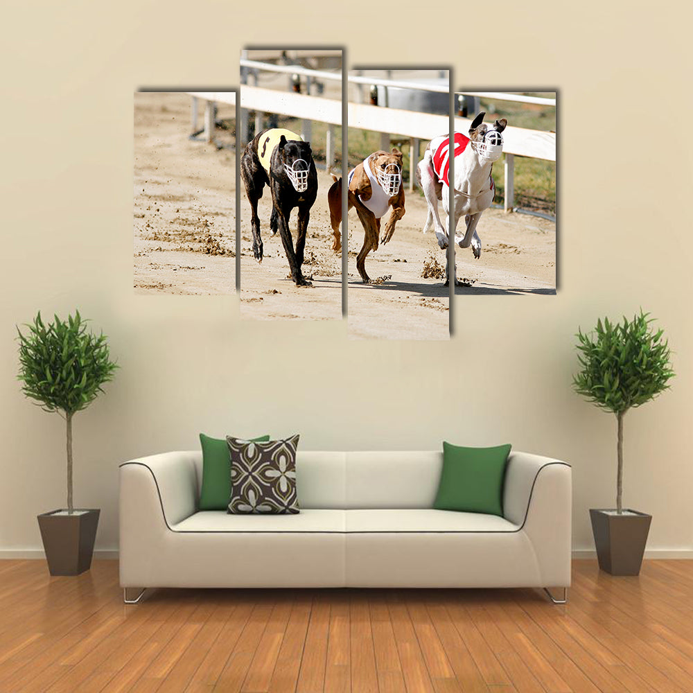 Sprinting Dynamic Greyhounds On The Race Course Multi Panel Canvas Wall Art