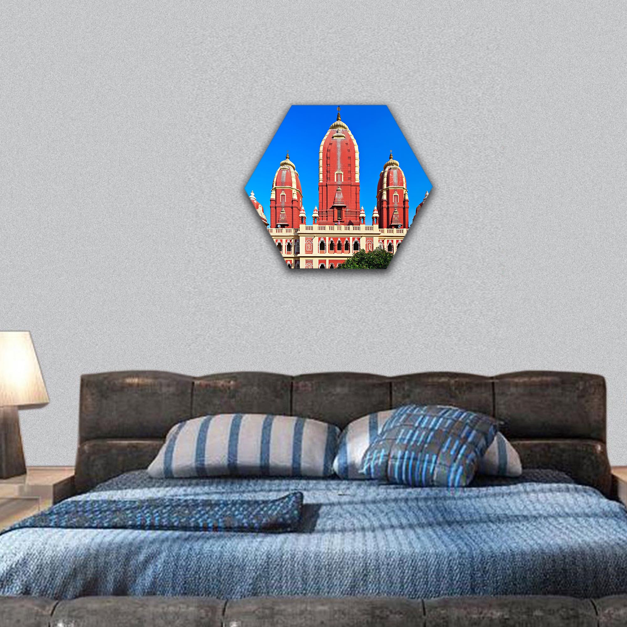Laxmi Narayan temple, New Delhi, India hexagonal canvas wall art
