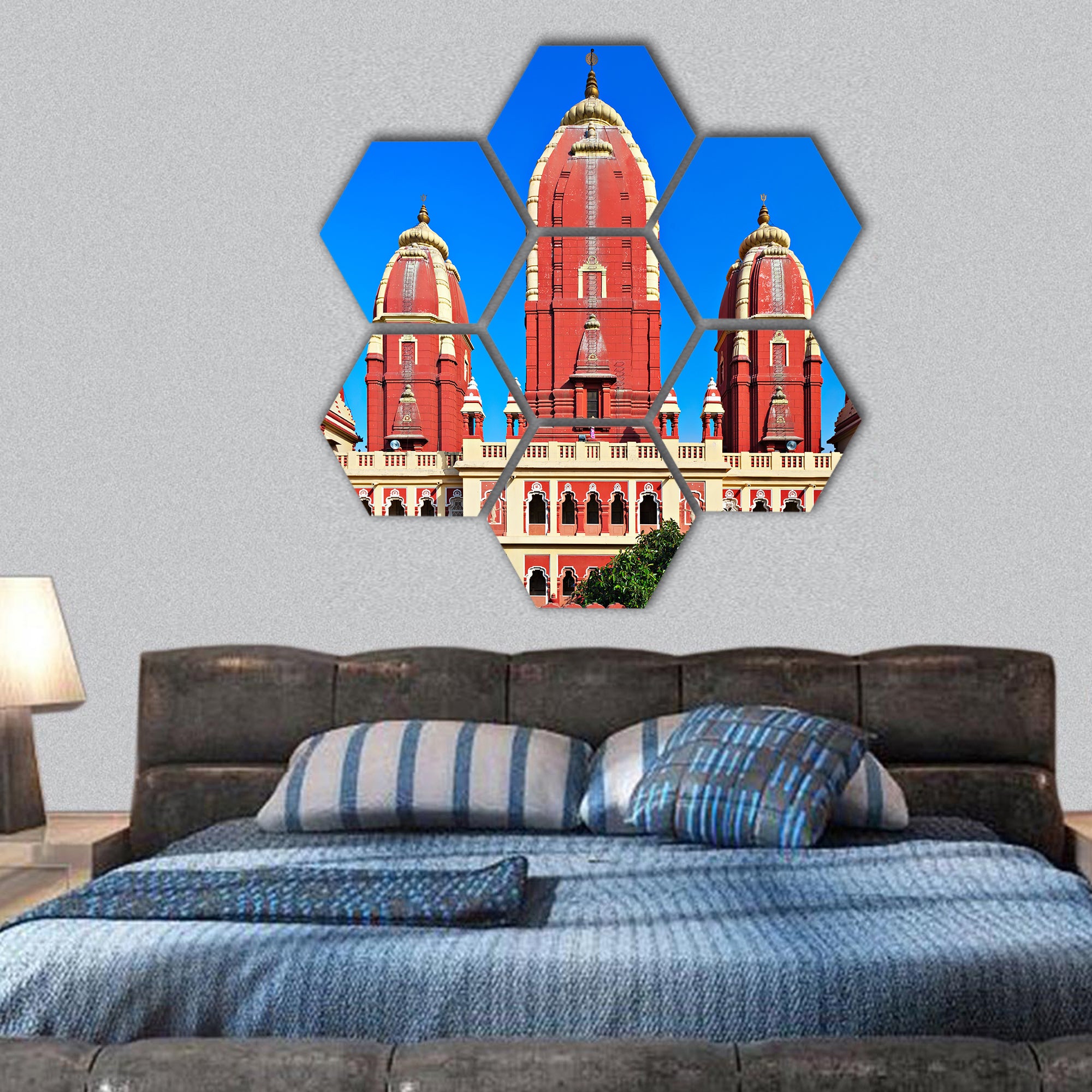 Laxmi Narayan temple, New Delhi, India hexagonal canvas wall art