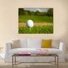 Golf ball on the beautiful golf course with sandbanks Multi Panel Canvas Wall Art