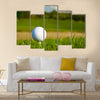 Golf ball on the beautiful golf course with sandbanks Multi Panel Canvas Wall Art