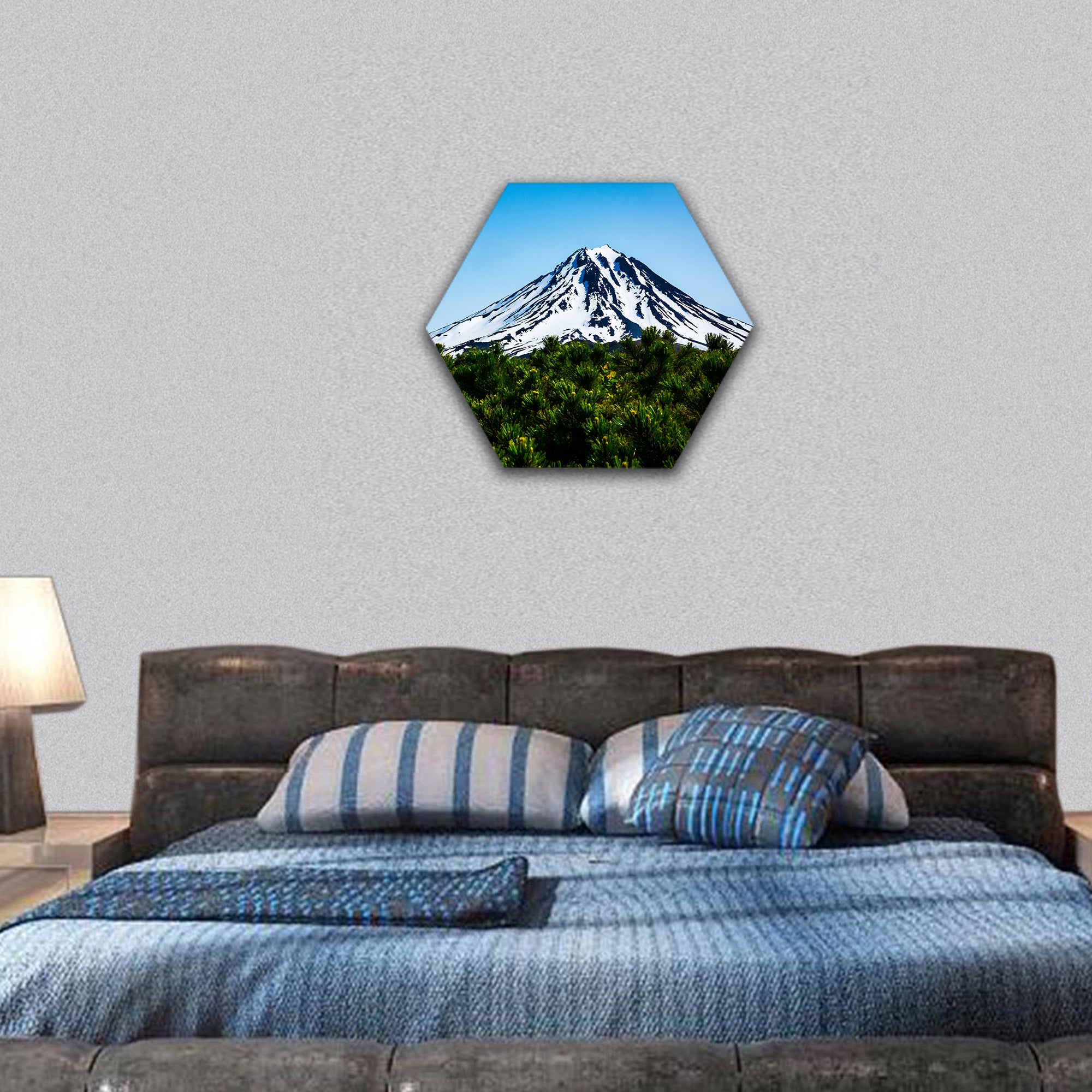 Viluchinskiy volcano, Kamchatka, Russia hexagonal canvas wall art