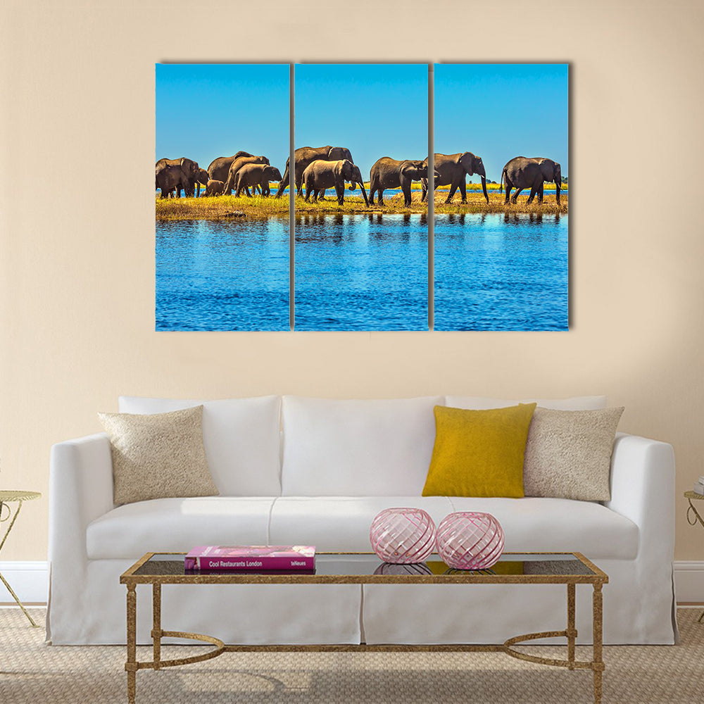Botswana Park Chobe on the river Zambezi elephants Multi panel canvas wall art