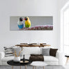 Lovebirds sitting on tree branch Panoramic Canvas Wall Art