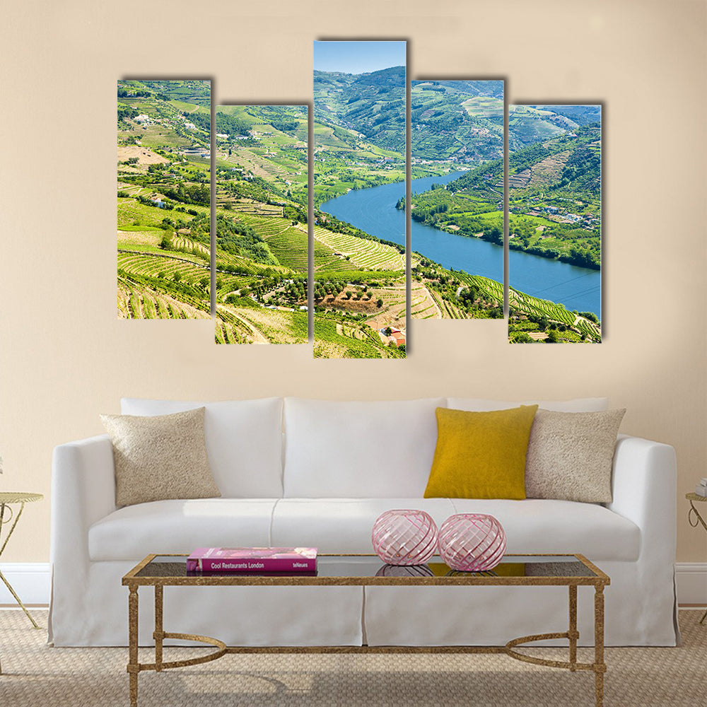 Vineyards in Douro Valley, Portugal Multi panel canvas wall art