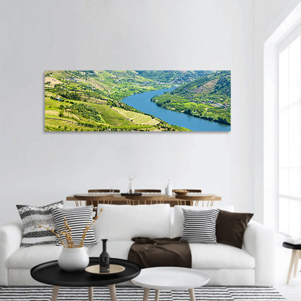 Vineyars in Douro Valley, Portugal panoramic canvas wall art
