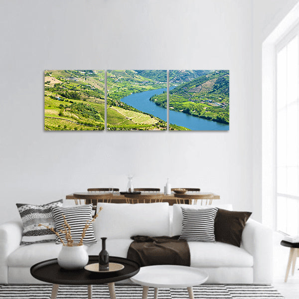 Vineyars in Douro Valley, Portugal panoramic canvas wall art