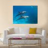 Wild dolphins underwater multi panel canvas wall art