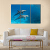 Wild dolphins underwater multi panel canvas wall art