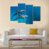 Wild dolphins underwater multi panel canvas wall art