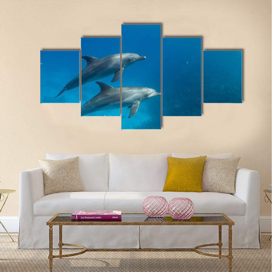 Wild dolphins underwater multi panel canvas wall art